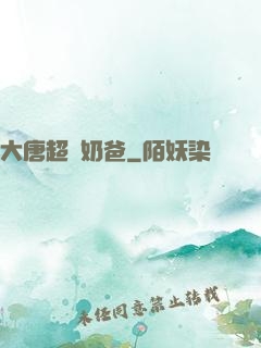大唐超級奶爸