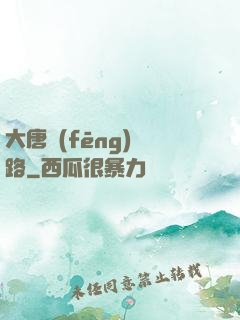 大唐風(fēng)華路