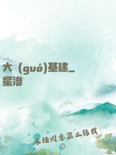 大國(guó)基建