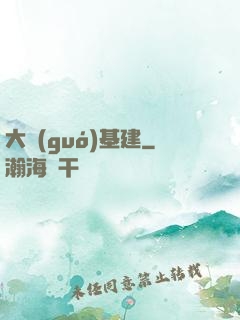 大國(guó)基建