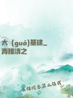 大國(guó)基建