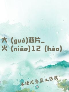 大國(guó)芯片
