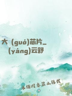 大國(guó)芯片