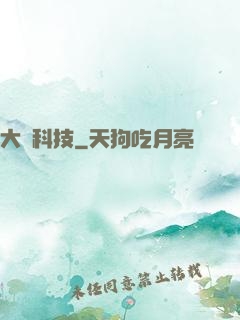 大國科技