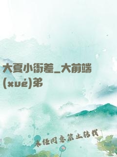 大夏小衙差
