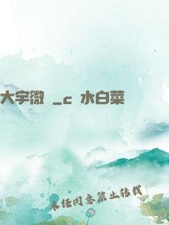 大宇微塵