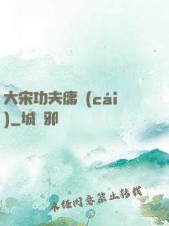 大宋功夫庸財(cái)