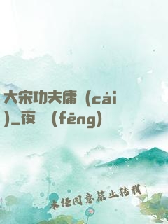大宋功夫庸財(cái)