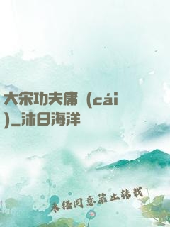 大宋功夫庸財(cái)