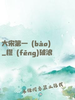 大宋第一報(bào)