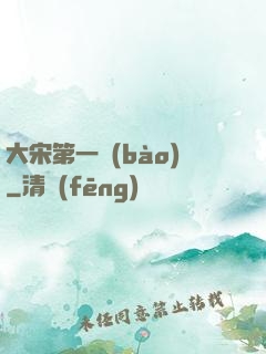 大宋第一報(bào)