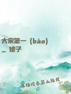 大宋第一報(bào)