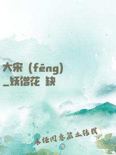 大宋風(fēng)華