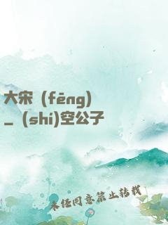 大宋風(fēng)華