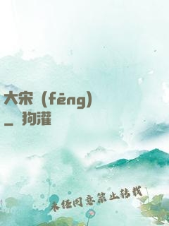大宋風(fēng)華