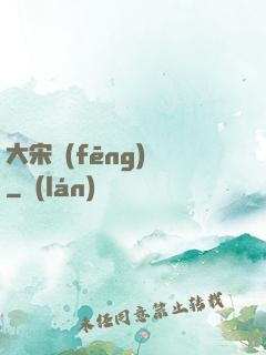 大宋風(fēng)華