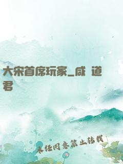 大宋首席玩家