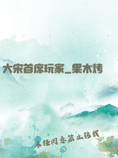 大宋首席玩家