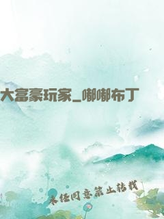 大富豪玩家