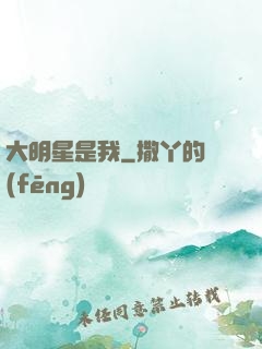 大明星是我