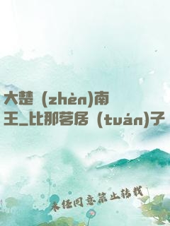 大楚鎮(zhèn)南王