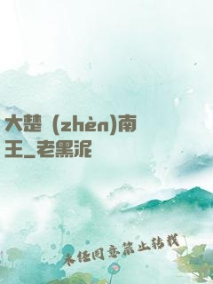 大楚鎮(zhèn)南王