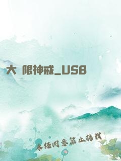 大無限神戒