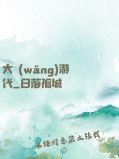 大網(wǎng)游時代