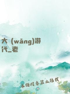 大網(wǎng)游時代