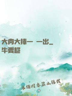 大肉大捧一進一出
