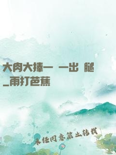 大肉大捧一進一出兩腿