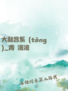 大融合系統(tǒng)