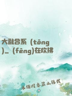 大融合系統(tǒng)