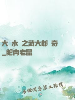 大話水滸之武大郎傳奇