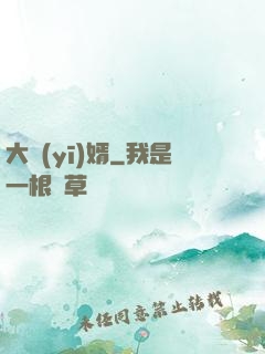 大醫(yī)婿