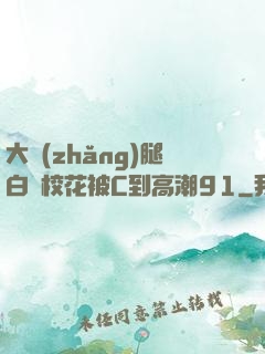大長(zhǎng)腿白絲?；ū籆到高潮91