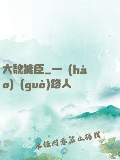 大魏能臣