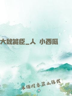 大魏能臣