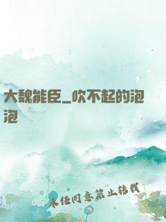 大魏能臣