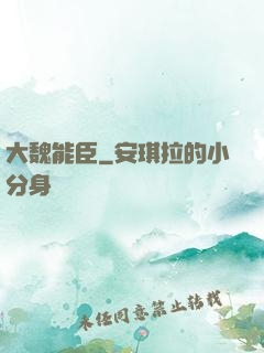 大魏能臣