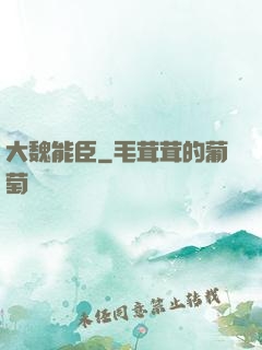大魏能臣