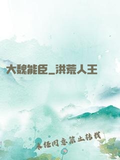 大魏能臣