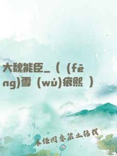 大魏能臣
