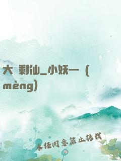 大齡剩仙
