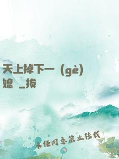 天上掉下一個(gè)媳婦