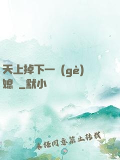 天上掉下一個(gè)媳婦