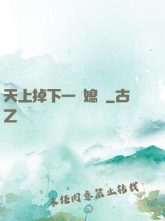 天上掉下一個媳婦