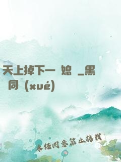 天上掉下一個媳婦