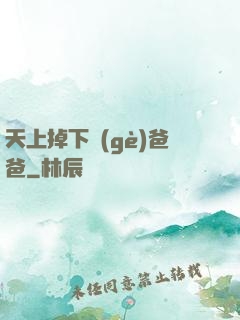 天上掉下個(gè)爸爸