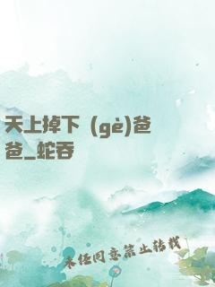 天上掉下個(gè)爸爸